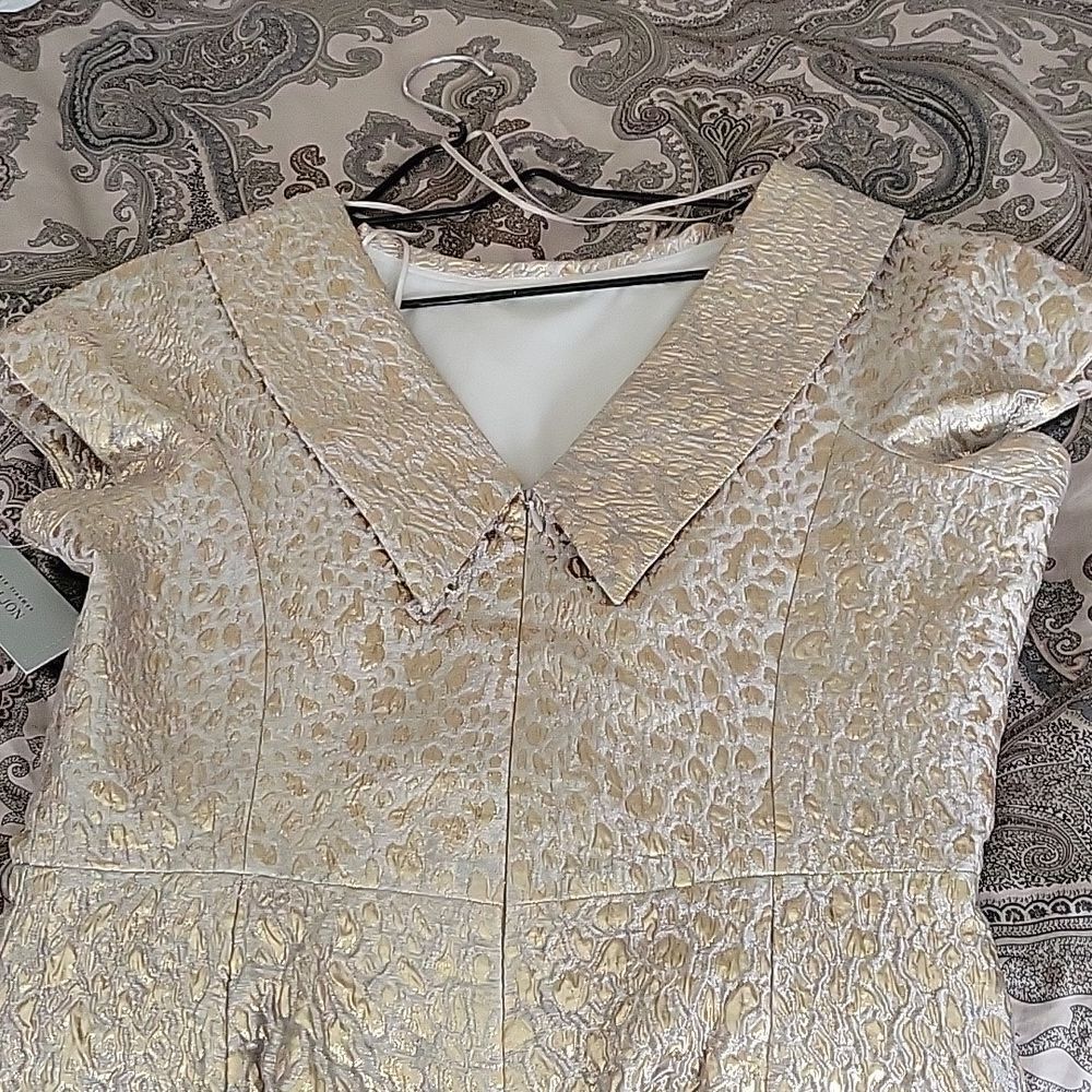 Teri John by Rickie Freeman formal dress - Picture 8 of 15